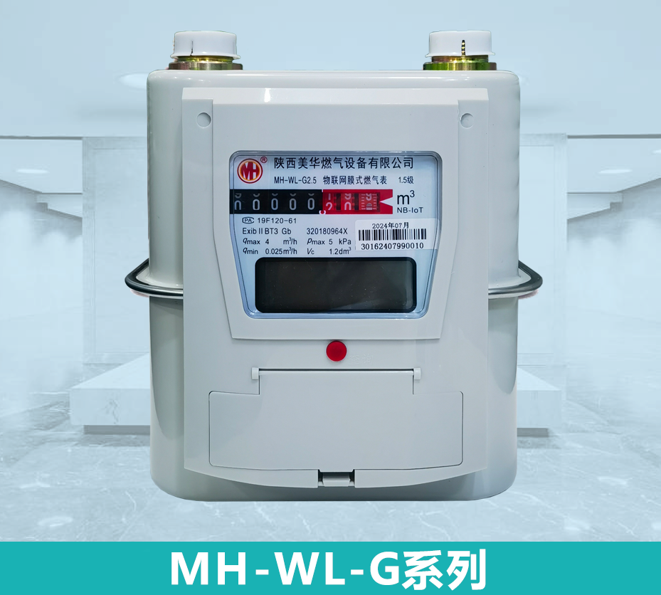 民用物聯(lián)網(wǎng)膜式燃?xì)獗? >
<p>民用物聯(lián)網(wǎng)膜式燃?xì)獗?/p></a>
</dt>
<dt > <a href=